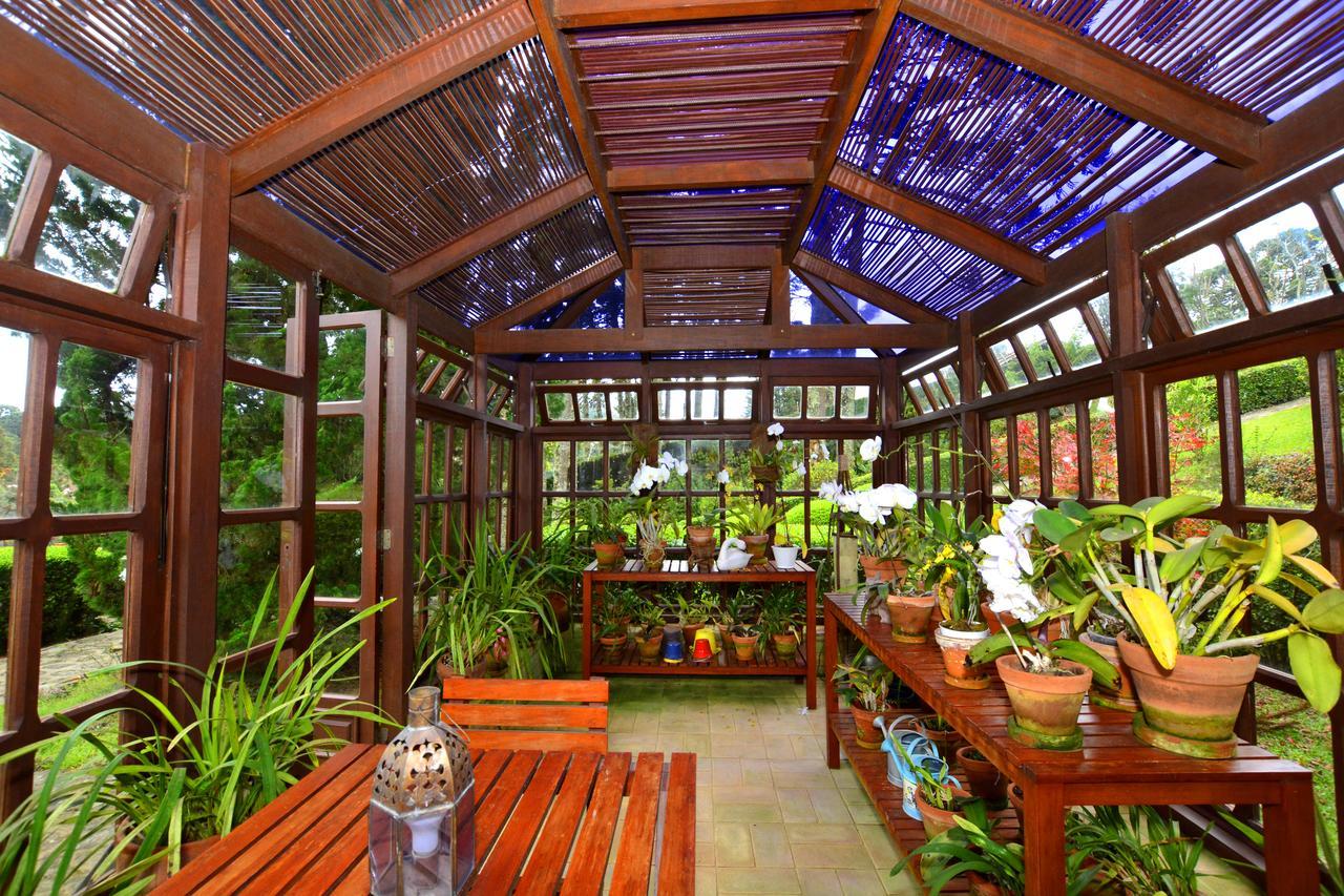 Roots Resort Monte Verde  Buitenkant foto